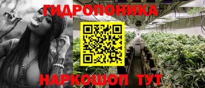 МДПВ Заволжье